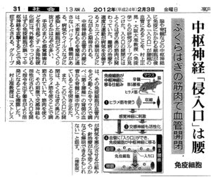 朝日新聞免疫記事.jpg